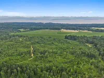 View 31