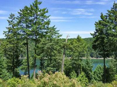 View 36