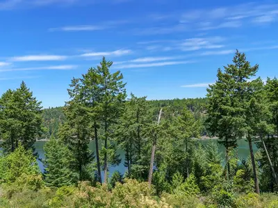 View 37