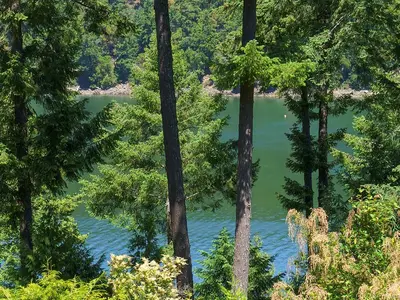 View 35