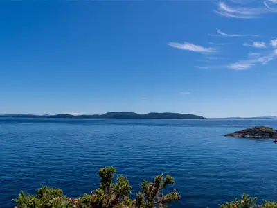 View 53