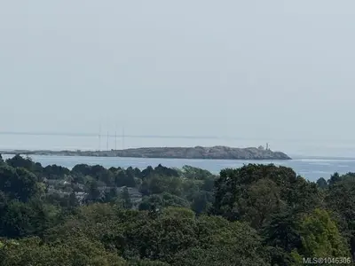 View 4
