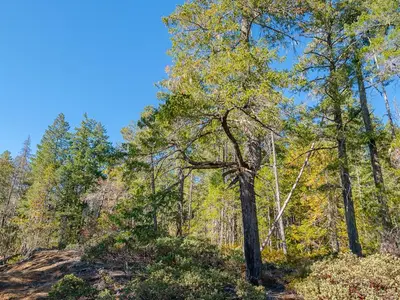 View 23