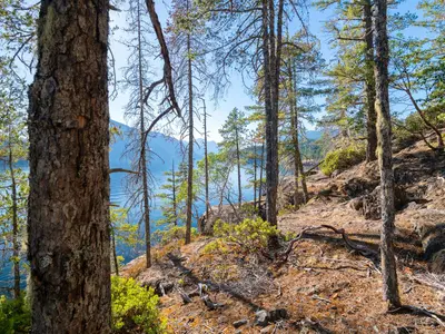 View 28