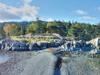 View 80