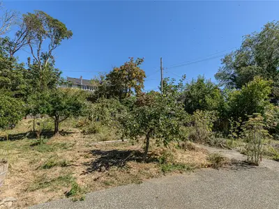 View 32