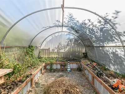 View 38
