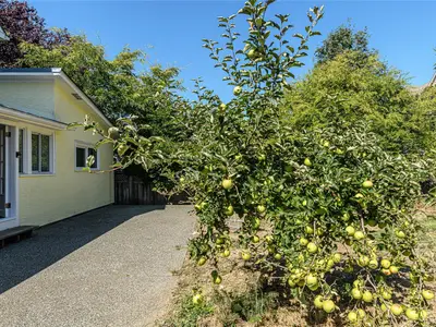 View 33
