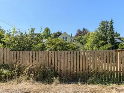 View 41