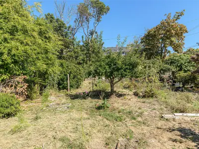 View 39