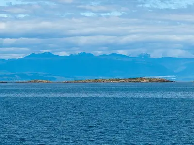 View 36