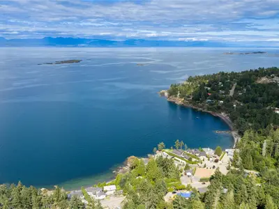 View 37