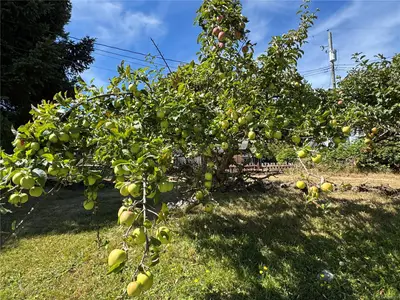 View 14