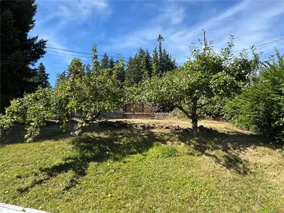 View 15