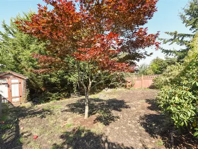 View 33