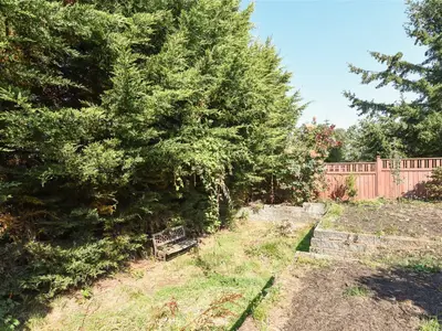 View 31
