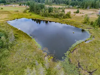 View 55