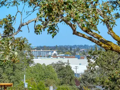 View 26