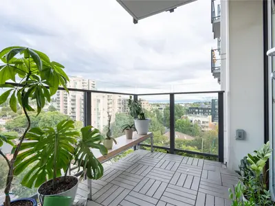 View 14
