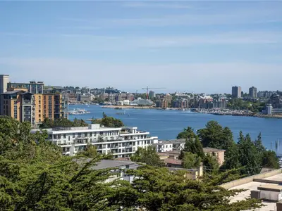 View 36