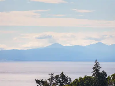 View 25