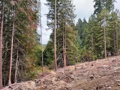 View 32
