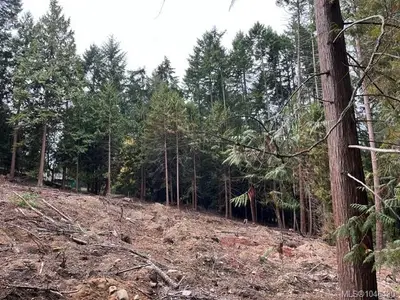 View 33