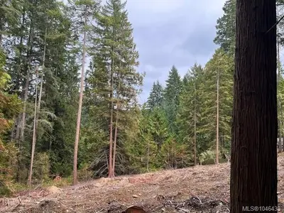 View 31