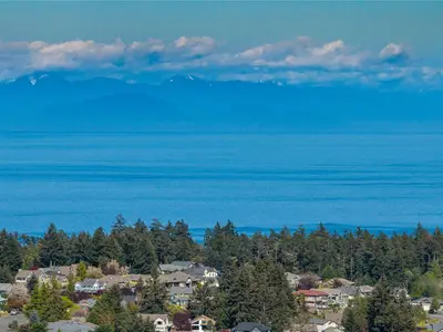 View 67