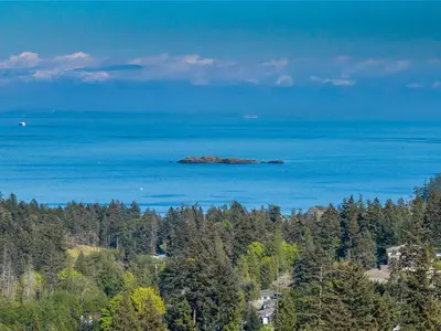 View 66