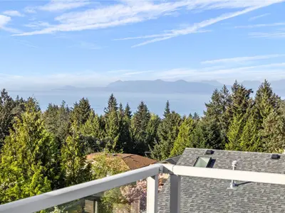 View 59