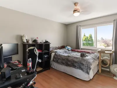 View 31