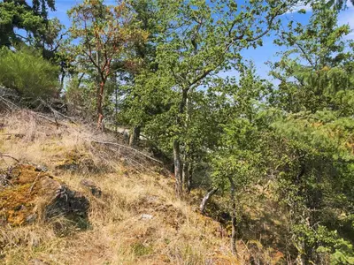 View 23