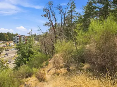 View 17