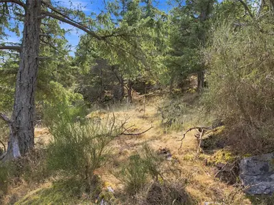 View 16