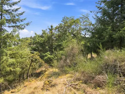 View 22