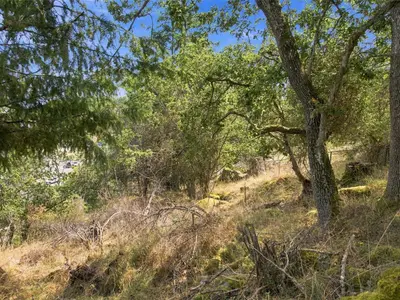 View 24