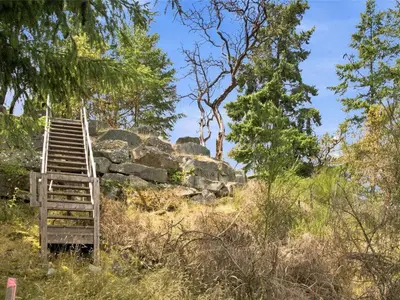 View 31