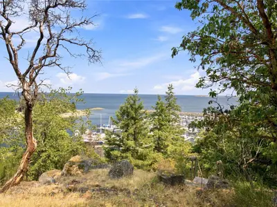 View 29