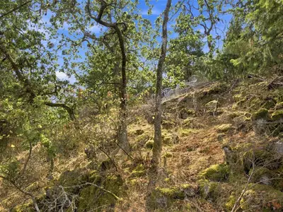 View 21