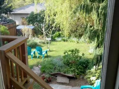 View 37