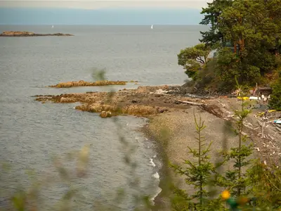 View 80