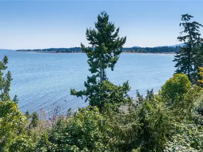 View 28
