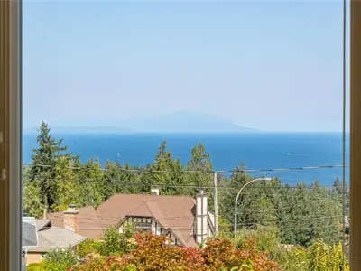 View 49