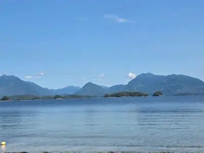 View 16