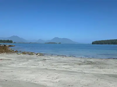 View 14
