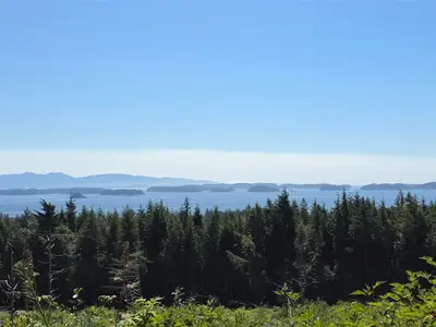 View 18
