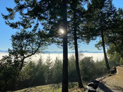 View 44