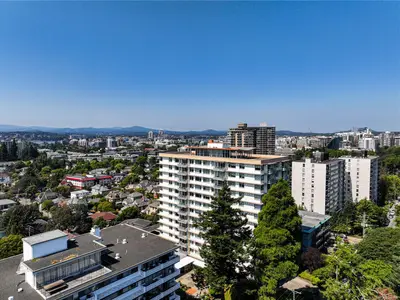 View 42