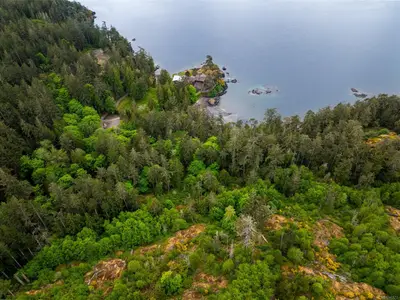 View 53